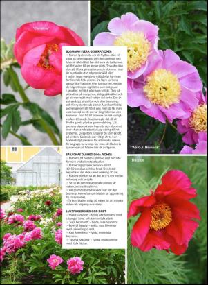 levaochbo-20180518_000_00_00_066.pdf