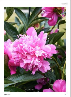 levaochbo-20180518_000_00_00_067.pdf