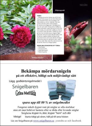 levaochbo-20180518_000_00_00_069.pdf