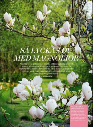 levaochbo-20180525_000_00_00_068.pdf