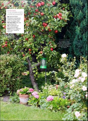 levaochbo-20180601_000_00_00_052.pdf