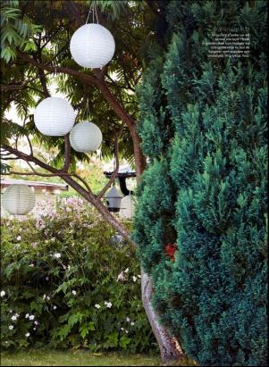 levaochbo-20180601_000_00_00_059.pdf