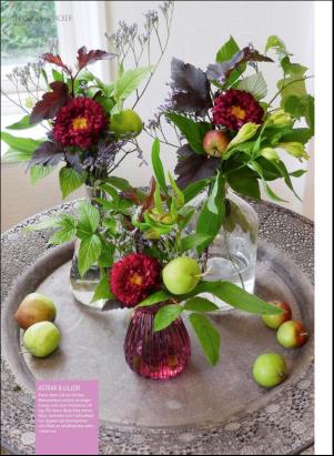 levaochbo-20180608_000_00_00_062.pdf