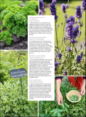 levaochbo-20180608_000_00_00_065.pdf