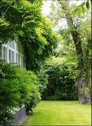 levaochbo-20180615_000_00_00_053.pdf