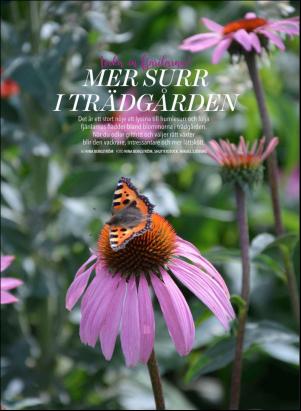 levaochbo-20180615_000_00_00_058.pdf