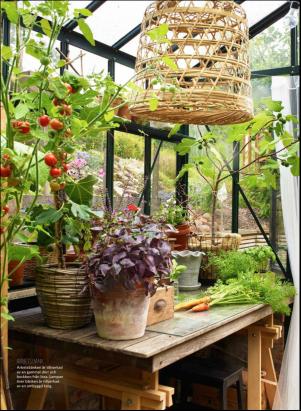 levaochbo-20180622_000_00_00_053.pdf