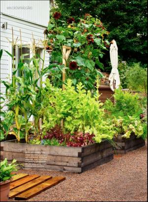 levaochbo-20180622_000_00_00_054.pdf