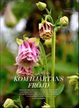 levaochbo-20180622_000_00_00_062.pdf