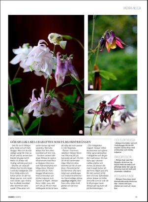 levaochbo-20180622_000_00_00_065.pdf