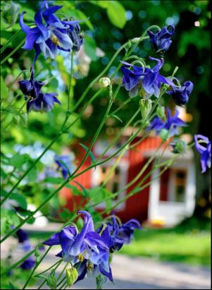 levaochbo-20180622_000_00_00_066.pdf