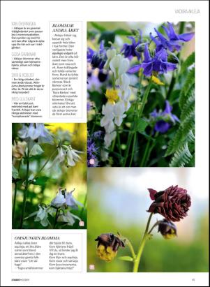 levaochbo-20180622_000_00_00_067.pdf