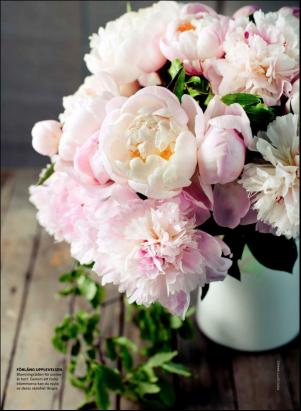 levaochbo-20180629_000_00_00_053.pdf