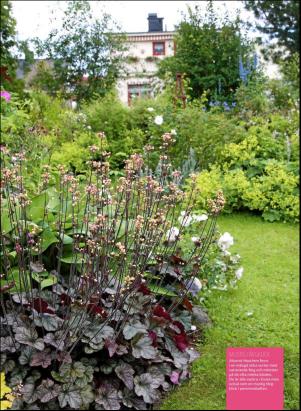 levaochbo-20180629_000_00_00_072.pdf