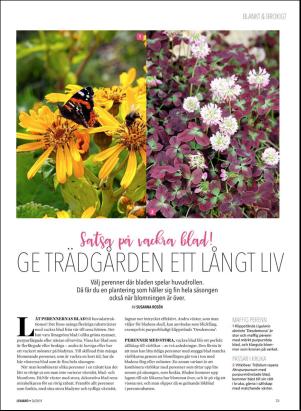 levaochbo-20180629_000_00_00_073.pdf