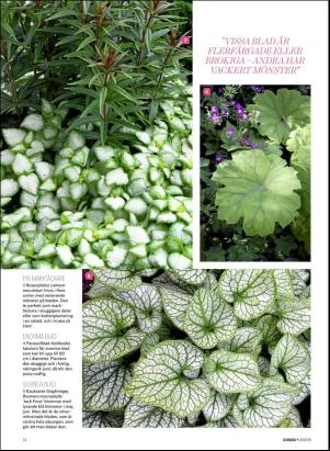 levaochbo-20180629_000_00_00_074.pdf