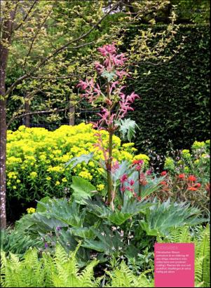 levaochbo-20180629_000_00_00_075.pdf