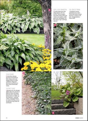 levaochbo-20180629_000_00_00_076.pdf