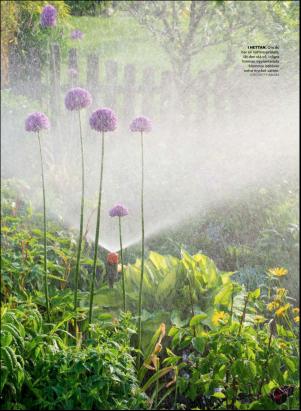 levaochbo-20180706_000_00_00_051.pdf