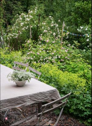 levaochbo-20180706_000_00_00_055.pdf