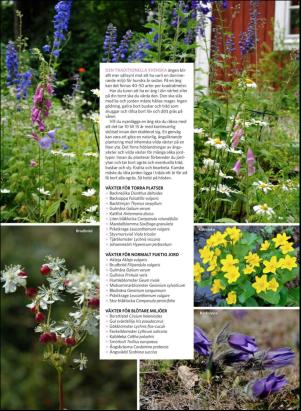 levaochbo-20180706_000_00_00_069.pdf