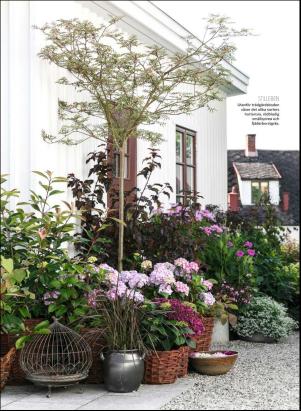 levaochbo-20180727_000_00_00_057.pdf