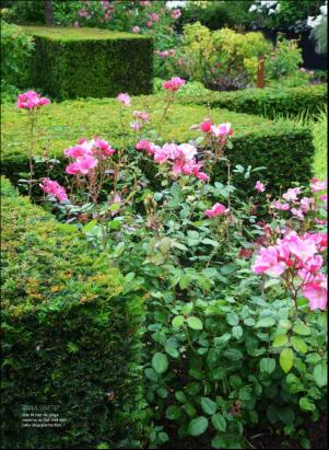 levaochbo-20180727_000_00_00_062.pdf