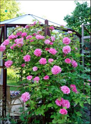 levaochbo-20180727_000_00_00_065.pdf