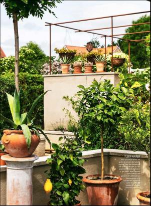 levaochbo-20180803_000_00_00_059.pdf