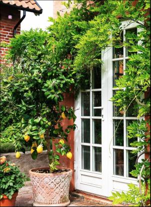 levaochbo-20180803_000_00_00_061.pdf