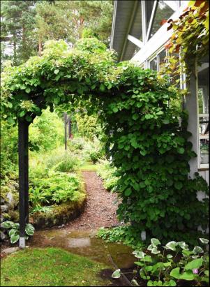 levaochbo-20180817_000_00_00_044.pdf