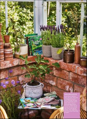 levaochbo-20180831_000_00_00_024.pdf