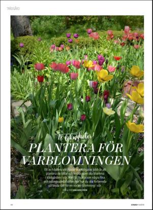 levaochbo-20180907_000_00_00_040.pdf