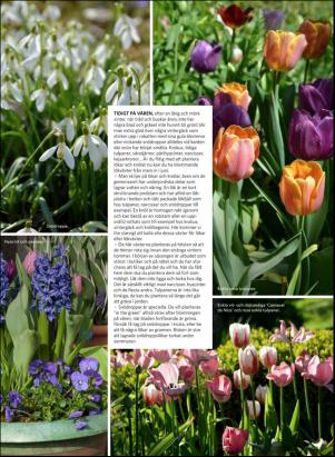 levaochbo-20180907_000_00_00_041.pdf