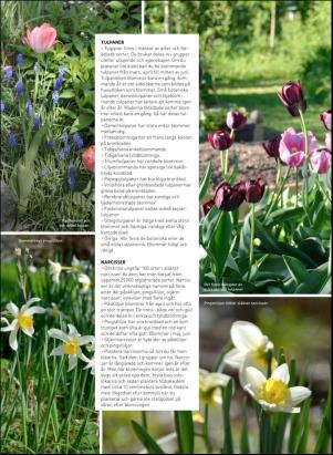 levaochbo-20180907_000_00_00_044.pdf