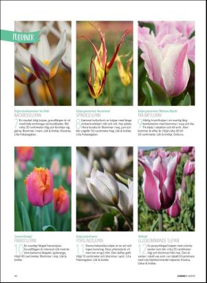 levaochbo-20180907_000_00_00_048.pdf