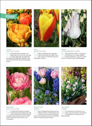 levaochbo-20180907_000_00_00_050.pdf