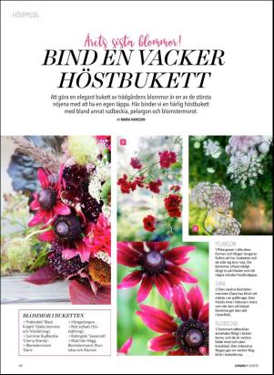 levaochbo-20180907_000_00_00_062.pdf