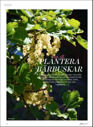 levaochbo-20181005_000_00_00_050.pdf