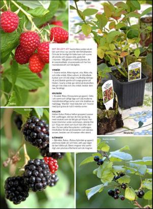 levaochbo-20181005_000_00_00_051.pdf