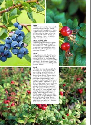 levaochbo-20181005_000_00_00_052.pdf