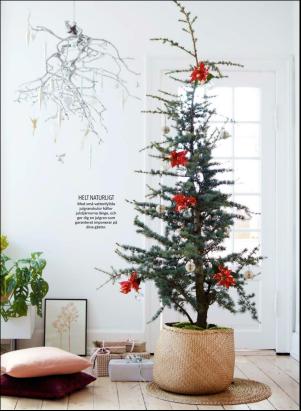 levaochbo-20181207_000_00_00_046.pdf