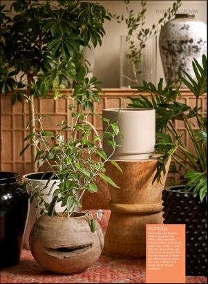 levaochbo-20181228_000_00_00_021.pdf