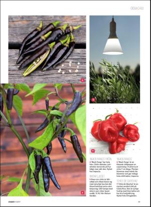 levaochbo-20190104_000_00_00_049.pdf