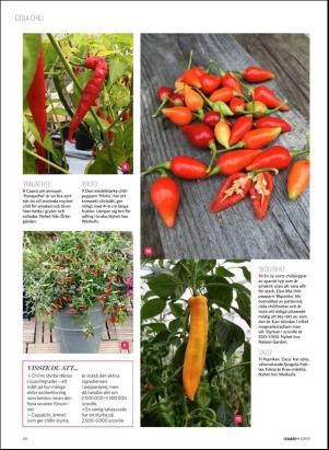 levaochbo-20190104_000_00_00_050.pdf