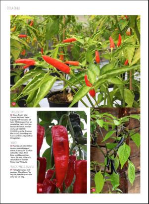 levaochbo-20190104_000_00_00_052.pdf