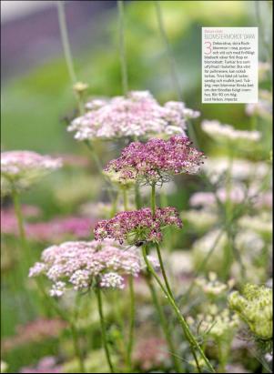 levaochbo-20190208_000_00_00_051.pdf