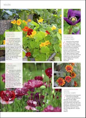 levaochbo-20190208_000_00_00_052.pdf