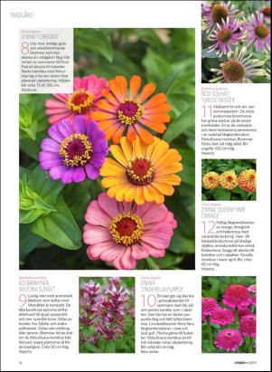 levaochbo-20190208_000_00_00_054.pdf