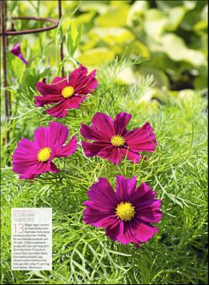 levaochbo-20190208_000_00_00_055.pdf